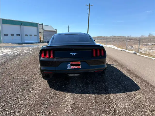 2015 Ford Mustang - Photo 2