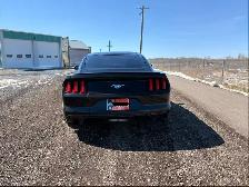 2015 Ford Mustang - Photo 2