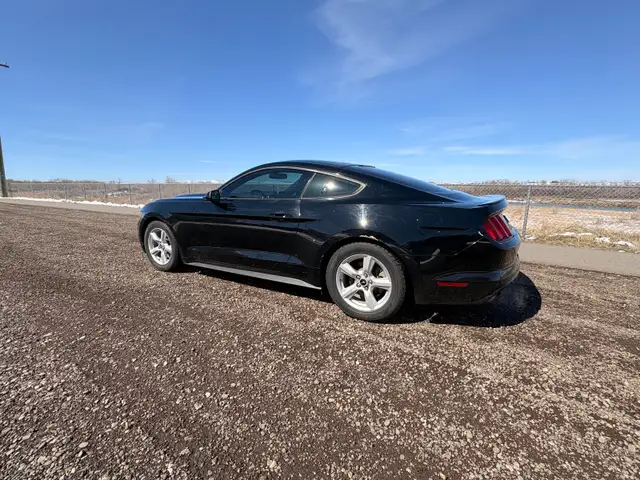 2015 Ford Mustang - Photo 3