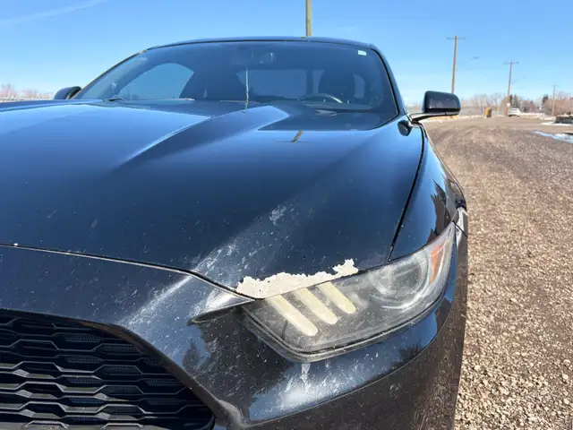 2015 Ford Mustang - Photo 5