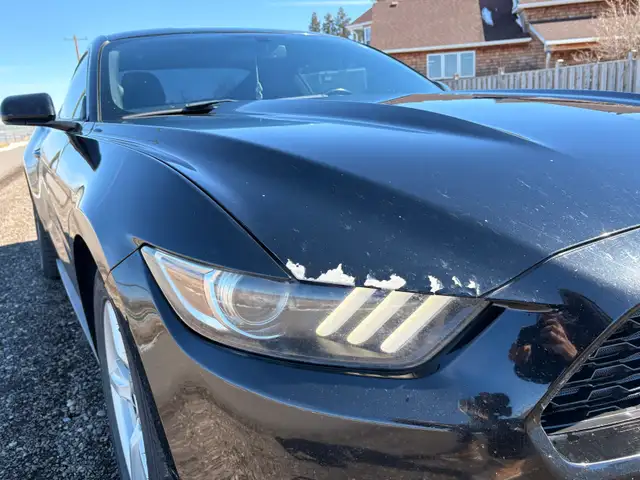 2015 Ford Mustang - Photo 6