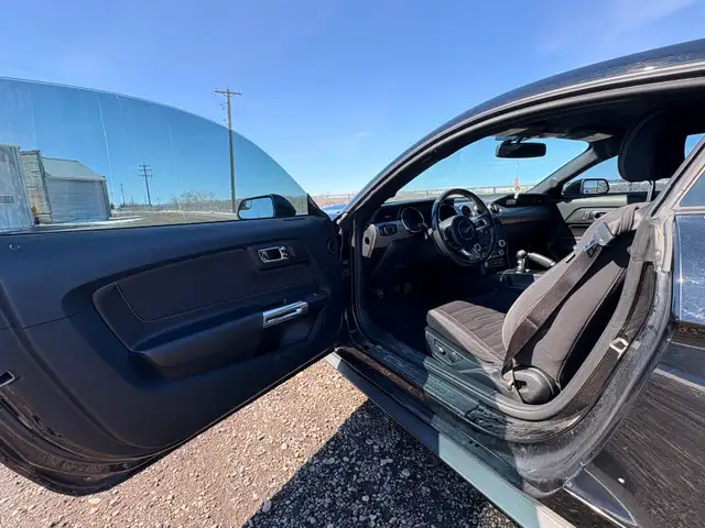 2015 Ford Mustang - Photo 10