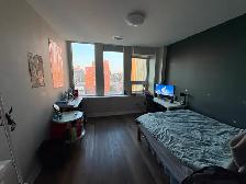 4 Beds 2 Baths - Shared Apartment