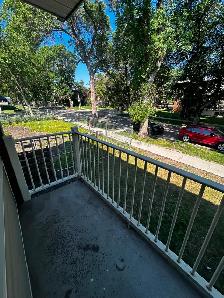 1 bedroom apartment for rent - Photo 2