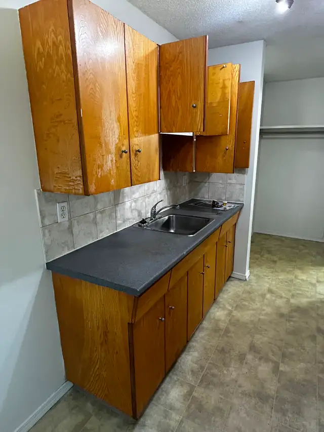 1 bedroom apartment for rent - Photo 3