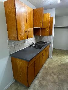 1 bedroom apartment for rent - Photo 3