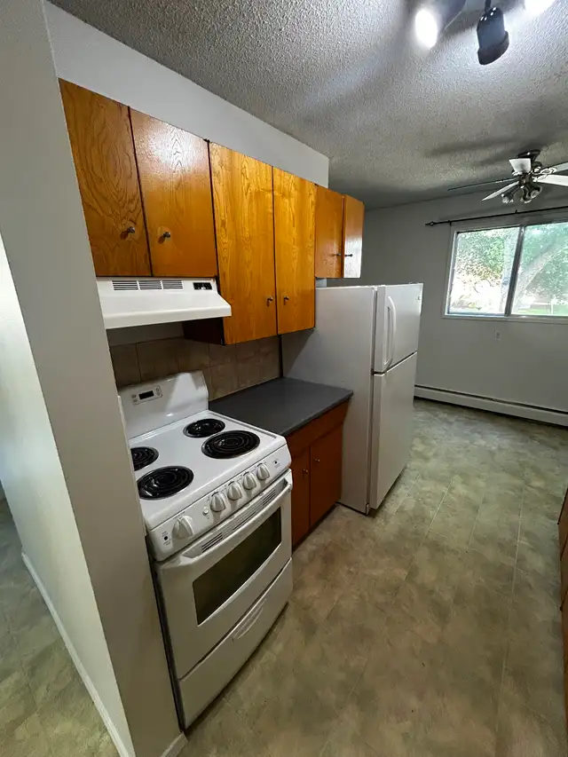 1 bedroom apartment for rent - Photo 4