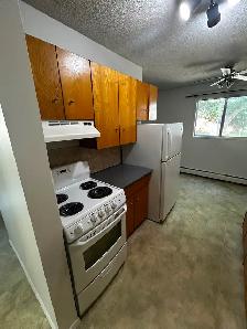 1 bedroom apartment for rent - Photo 4