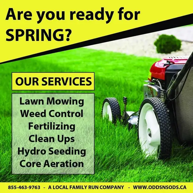 Lawn Care & Grass Cutting