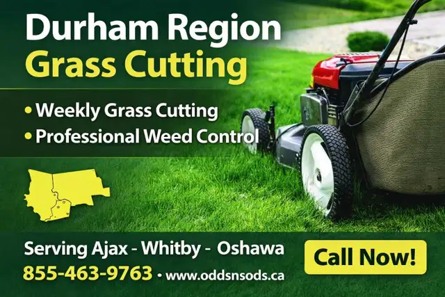 Lawn Care & Grass Cutting - Photo 2