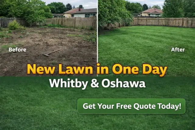 Lawn Care & Grass Cutting - Photo 3