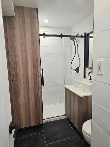 Grand 8 1/2 a louer dans St-Henri - Photo 3