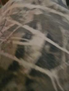 leaf raking and yardwork