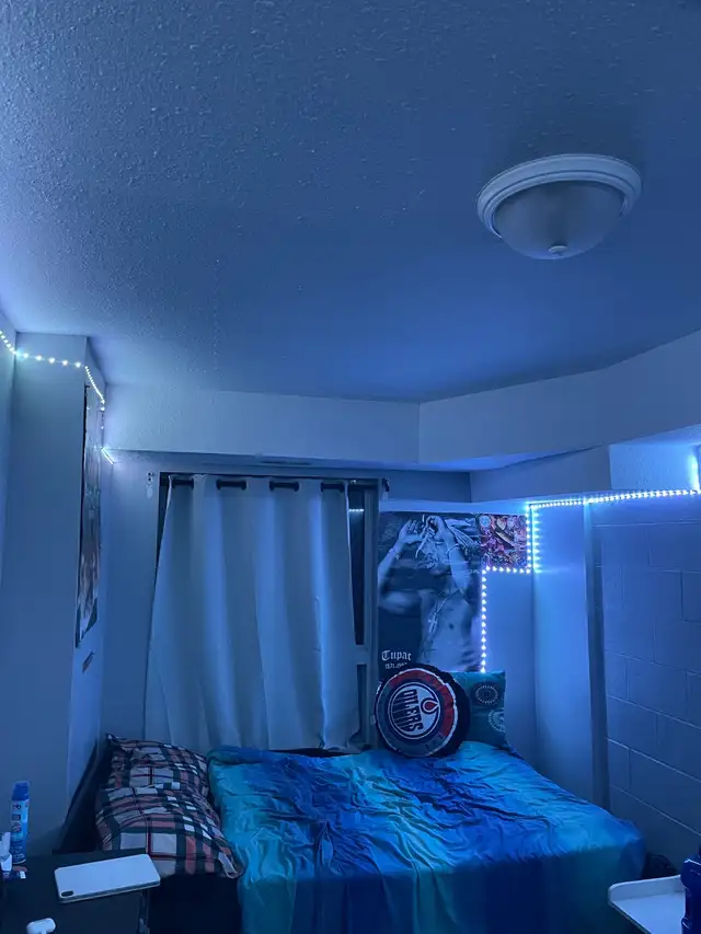 summer sublet (may-August)