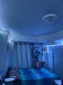 summer sublet (may-August)