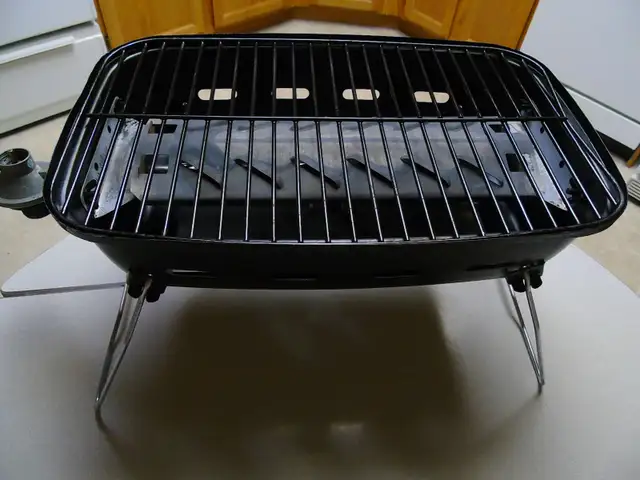 Propane BBQ - Photo 2