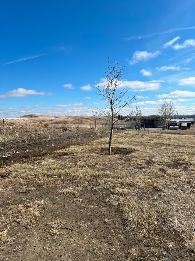 Lake Lots  $30,000 and $25,000 or $50,000 for both - Photo 7