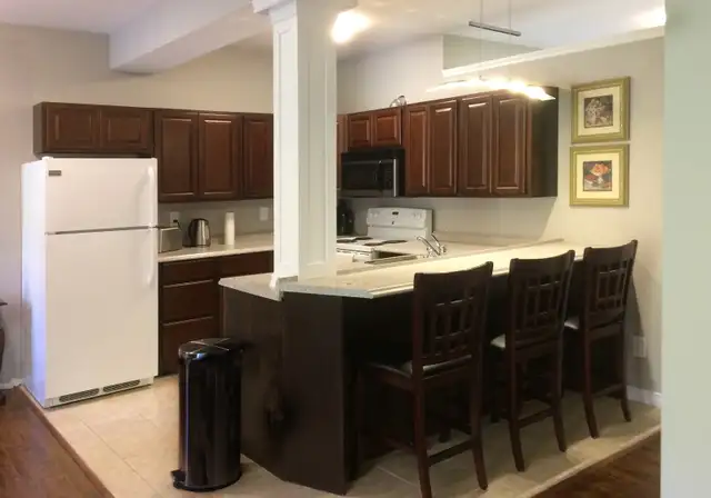 Fully Furnished One Bedroom Apartment - Photo 7