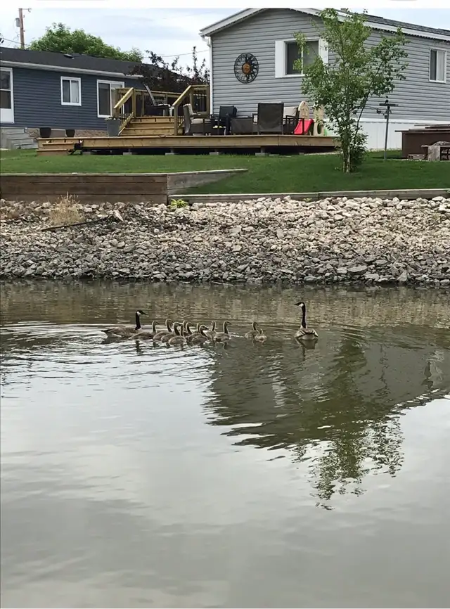 house garage waterfront! netley creek Petersfield MB - Photo 7