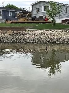 house garage waterfront! netley creek Petersfield MB - Photo 7
