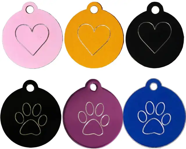 Médaille d'Identification Gravée et Collier pour Chat et Chien - Photo 4