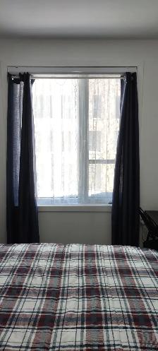 ROOM for RENT/Male Only - Photo 4