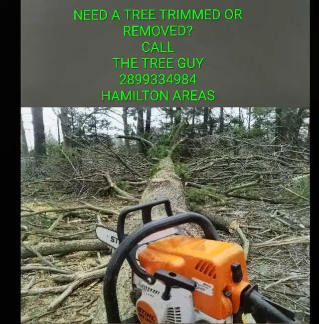 TREE TRIMMING AND REMOVALS HAMILTONS AREAS