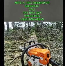 TREE TRIMMING AND REMOVALS HAMILTONS AREAS