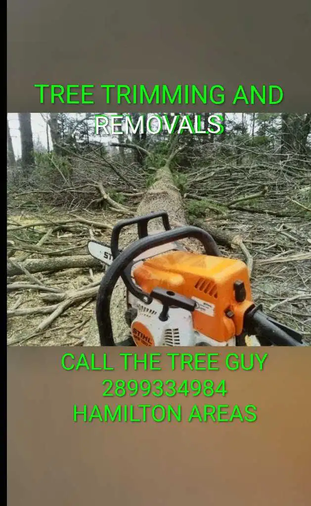 TREE TRIMMING AND REMOVALS HAMILTONS AREAS - Photo 2