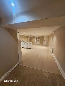 Apartment for Rent  Modern 1 Bedroom  Newly Renovated Basement - Photo 6