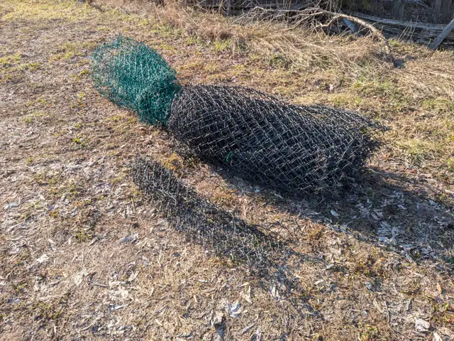 Free - Fencing (Chain Link)
