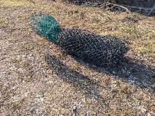 Free - Fencing (Chain Link)
