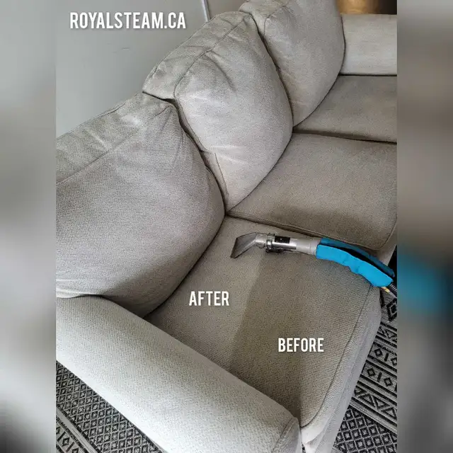 Sofa Steam Cleaning/Area Rug Cleaning/Carpet Cleaning - Photo 3