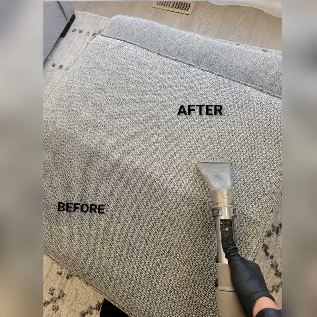 Sofa Steam Cleaning/Area Rug Cleaning/Carpet Cleaning - Photo 4