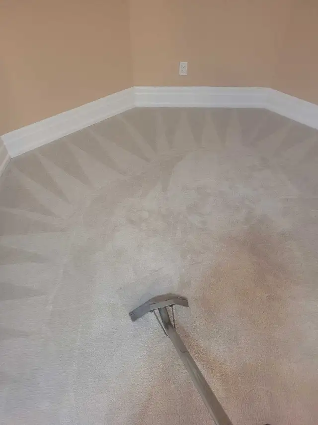 Sofa Steam Cleaning/Area Rug Cleaning/Carpet Cleaning - Photo 5