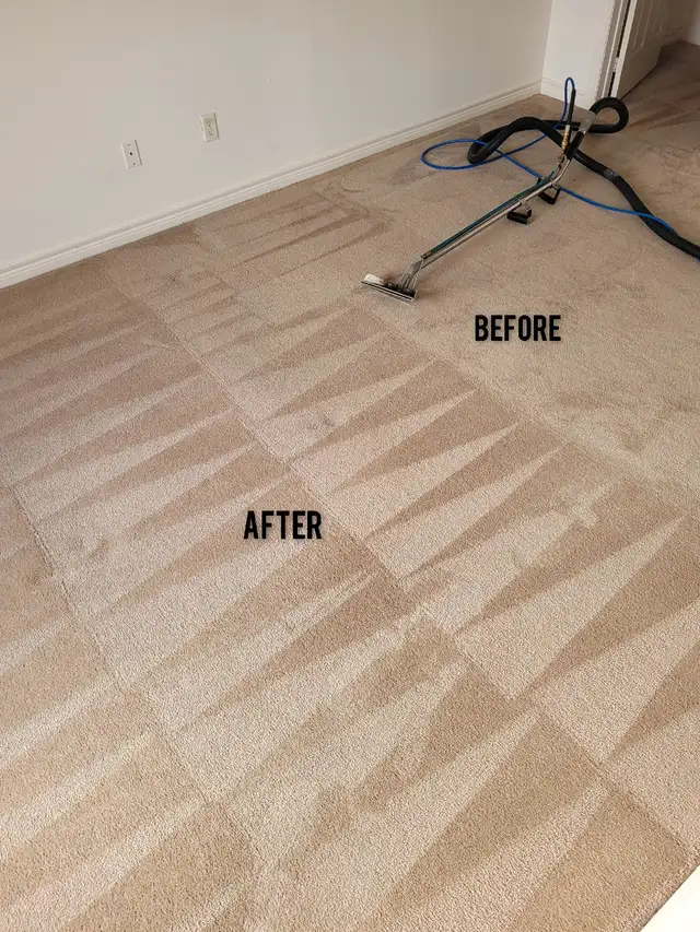 Sofa Steam Cleaning/Area Rug Cleaning/Carpet Cleaning - Photo 6