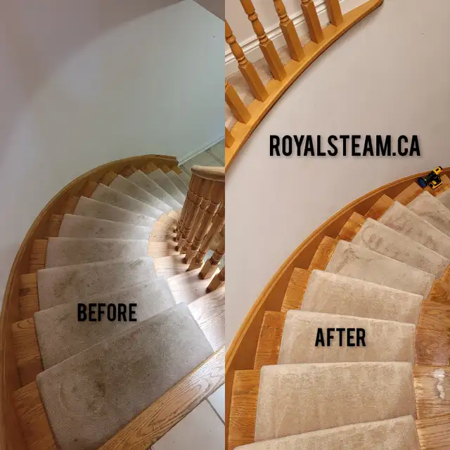 Sofa Steam Cleaning/Area Rug Cleaning/Carpet Cleaning - Photo 9