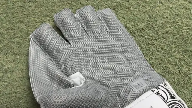 SS Professional Keeping Gloves - Photo 2