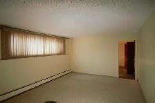 UPDATE:  Melville Apartments - One bedroom suite behind Cityhall - Photo 2