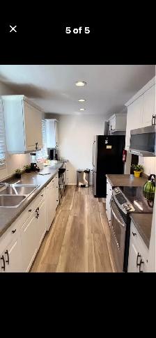 Student Room - Photo 4