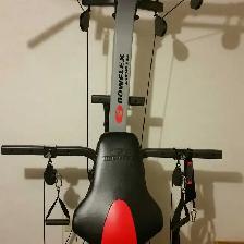 BowFleX Xtreme 2 Se with Ab Harness  gym weights exercise