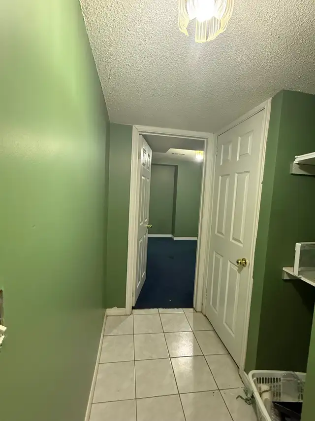 Basement for rent - Photo 3