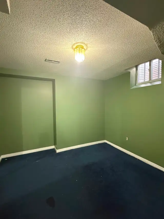 Basement for rent - Photo 4