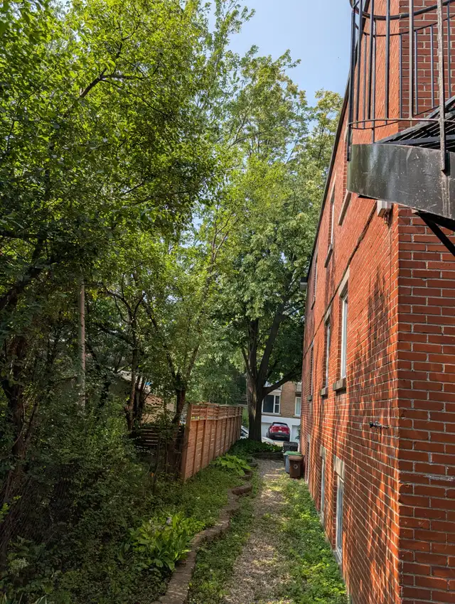 Grand 4 1/2 avec balcon, terrasse, jardin, a Ahuntsic - Photo 10