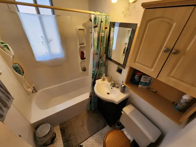 4 1/2 dans Rosemont sur la 20eme avenue 1275$ 1er mai parking - Photo 10