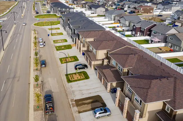 Job Opportunity for Laborer / Light Carpentry - Photo 6