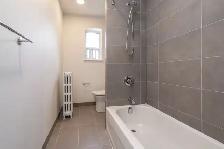 Renovated Two Bedroom, Queen and Roncesvalles - ID 1537 - Photo 4
