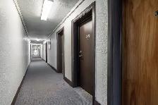 Renovated Two Bedroom, Queen and Roncesvalles - ID 1537 - Photo 9