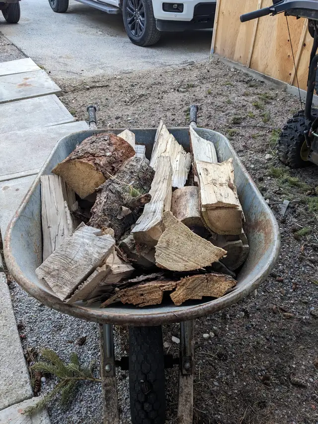 Firewood (White Spruce, clean and dry) - Photo 2