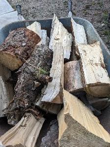 Firewood (White Spruce, clean and dry) - Photo 3